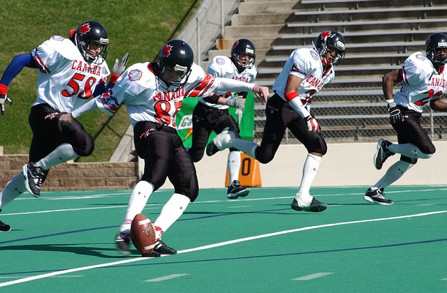 人体育组织 人体育组织