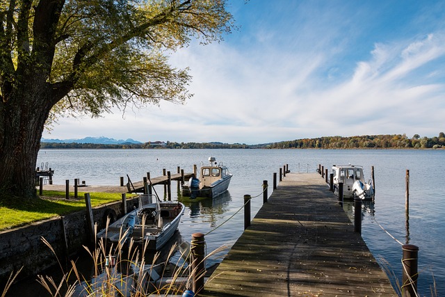 他克服障碍 他克服障碍